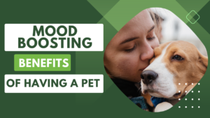 The Mood-Boosting Benefits of Having a Pet